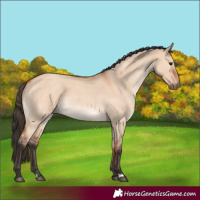 Horse Color:Bay Roan Dun Rabicano 