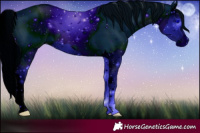 Horse Color:ERROR: UNKNOWN ANOMALY