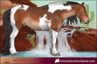 Horse Color:Bay Tobiano 