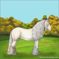 Horse Color:Palomino Roan Pearl