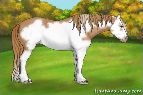 Horse Color:Chestnut Splash Frame 