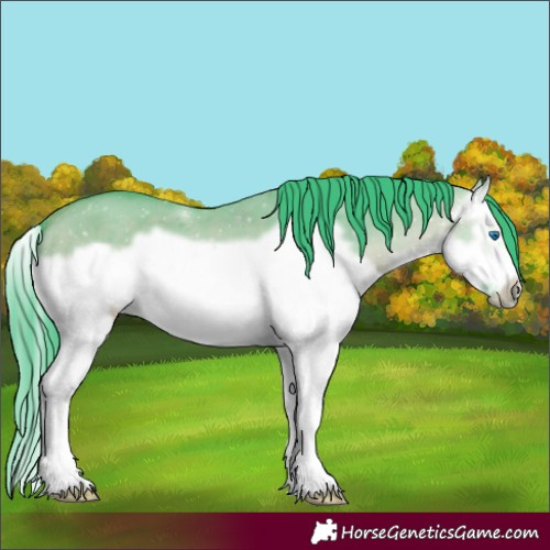 Horse Color:Watercolor Bay Dun Splash Frame 