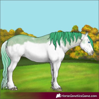 Horse Color:Watercolor Bay Dun Splash Frame 