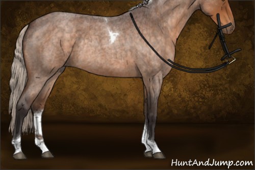 Horse Color:Silver Buckskin Roan Tobiano Rabicano