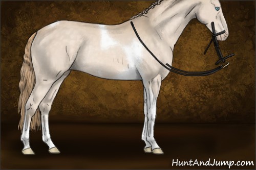 Horse Color:Perlino Sabino Tobiano Rabicano 