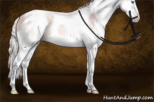 Horse Color:Silver Sable Champagne Sabino Splash Tobiano Rabicano 