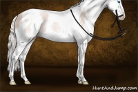 Horse Color:Silver Sable Champagne Sabino Splash Tobiano Rabicano