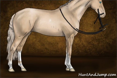 Horse Color:Chocolate Palomino Pearl Sabino Tobiano Rabicano 