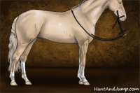 Horse Color:Chocolate Palomino Pearl Sabino Tobiano Rabicano 