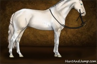 Horse Color:Palomino Pearl Dun Tobiano Rabicano 