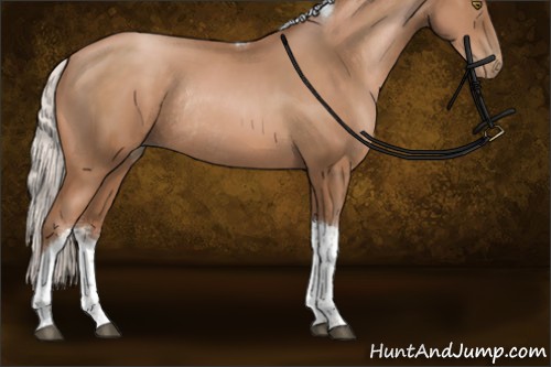 Horse Color:Silver Brown Pearl Sabino Tobiano Rabicano 