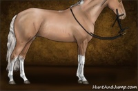 Horse Color:Silver Brown Pearl Sabino Tobiano Rabicano 