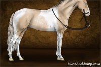 Horse Color:Chocolate Palomino Pearl Sabino Tobiano Rabicano 