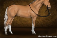 Horse Color:Silver Buckskin Tobiano Rabicano