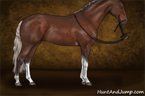 Horse Color:Silver Brown Tobiano Rabicano 