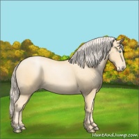 Horse Color:Palomino Pearl 