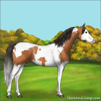 Horse Color:Bay Splash Tobiano Varnish  and Bay Splash Tobiano Varnish 