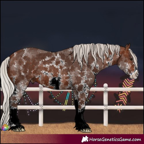 Horse Color:Silver Brown Sabino 