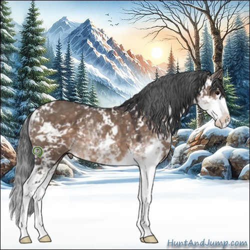 Horse Color:Brown Dun Sabino 
