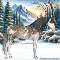 Horse Color:Brown Dun Sabino