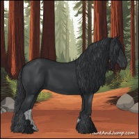 Horse Color:Black 