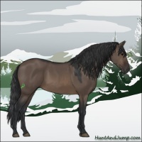 Horse Color:Brown Dun Sabino