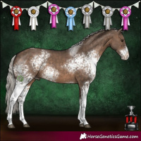 Horse Color:White Spotted Silver Brown Dun Sabino