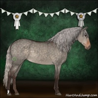 Horse Color:Silver Brown Dun 