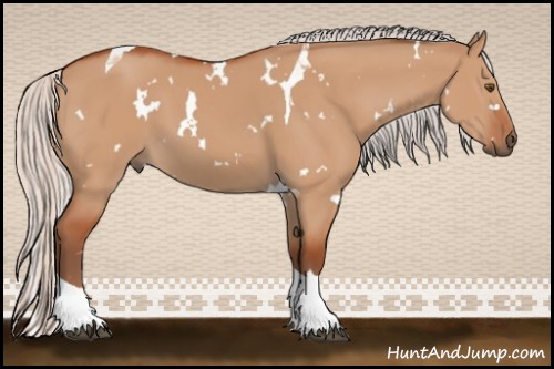 Horse Color:White Spotted Silver Bay Dun Tobiano 