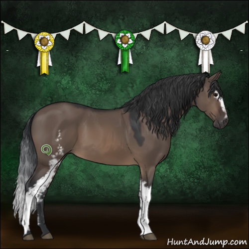 Horse Color:White Spotted Brown Dun 