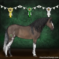 Horse Color:White Spotted Brown Dun