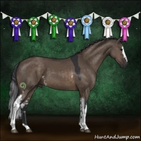 Horse Color:White Spotted Brown Dun 