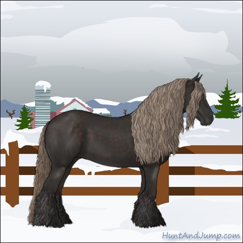 Horse Color:Liver Chestnut Rabicano 