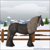 Horse Color:Liver Chestnut Rabicano