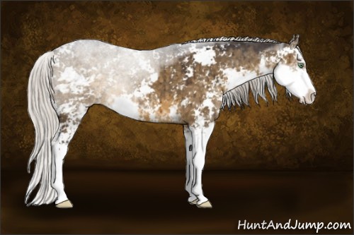 Horse Color:Silver Smoky Grullo Sabino Brindle 