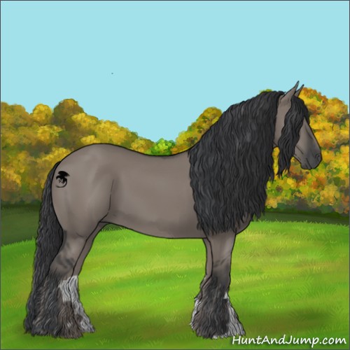 Horse Color:Grullo