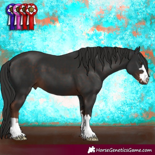 Horse Color:Liver Chestnut 