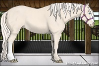 Horse Color:Cremello 