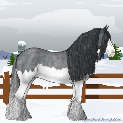 Horse Color:Blue Chinchilla Roan Splash Rabicano