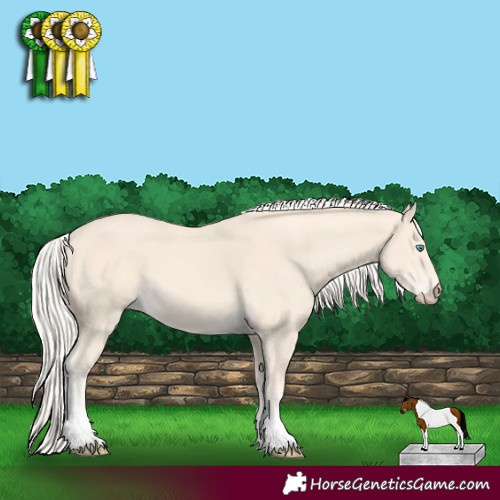 Horse Color:Cremello Tobiano 