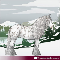 Horse Color:Silver Blue Roan Splash Appaloosa Rabicano