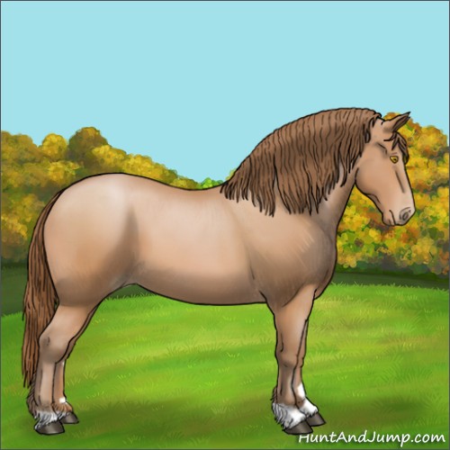 Horse Color:Bay Pearl 