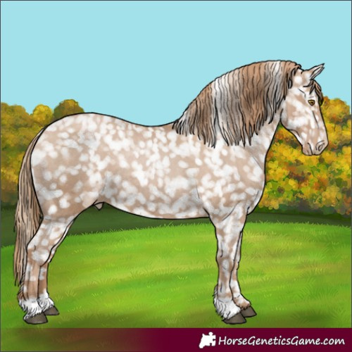 Horse Color:Black Pearl Snowflake Varnish