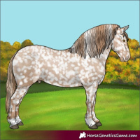 Horse Color:Black Pearl Snowflake Varnish