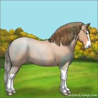 Horse Color:Bay Roan Pearl Splash 