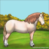Horse Color:Buckskin Roan Pearl Splash 