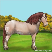 Horse Color:Bay Ice Roan Pearl 