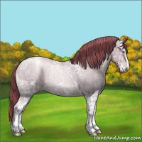 Horse Color:Buckskin Ice Roan Pearl Sabino Varnish Rabicano 