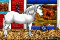 Horse Color:Gray Silver Amber Cream Champagne Roan Dun Splash Tobiano Frame Blanket Rabicano 