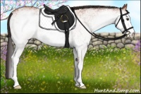 Horse Color:White Spotted Bay Rabicano